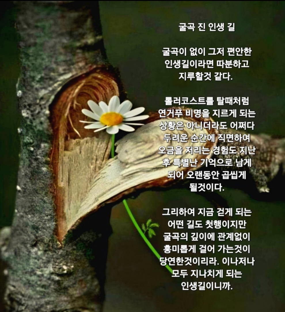 Screenshot_20240602_191630_KakaoStory.jpg