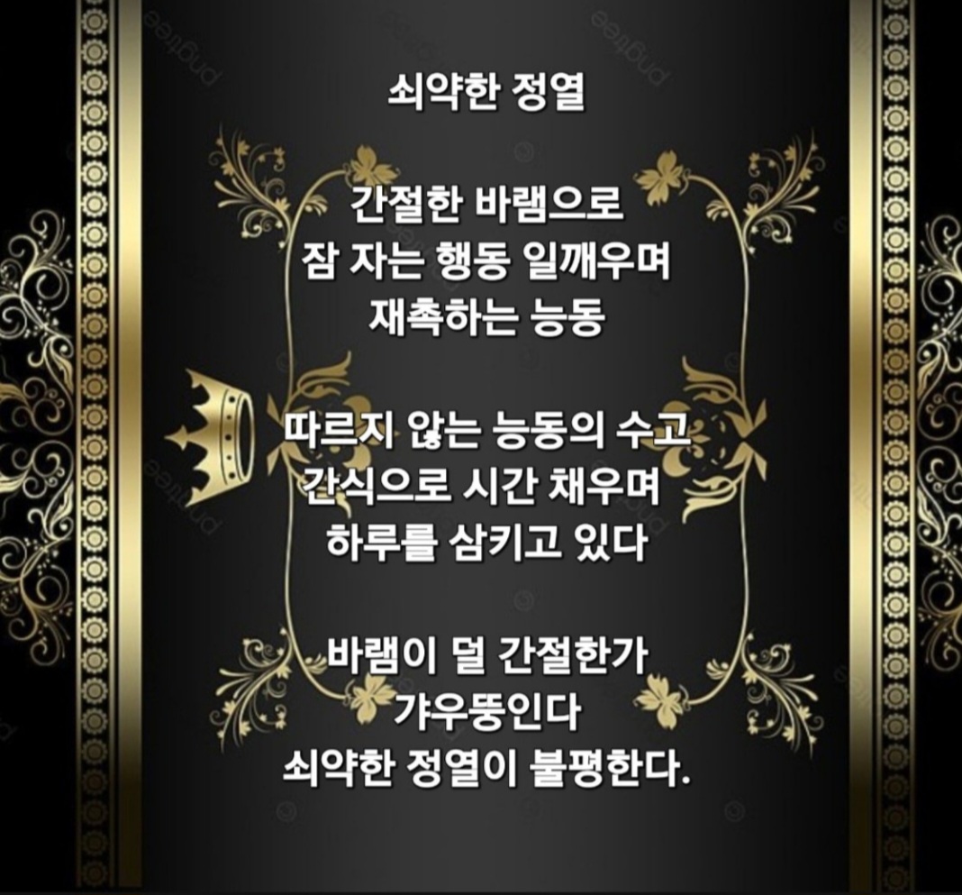 Screenshot_20240517_065626_KakaoStory.jpg