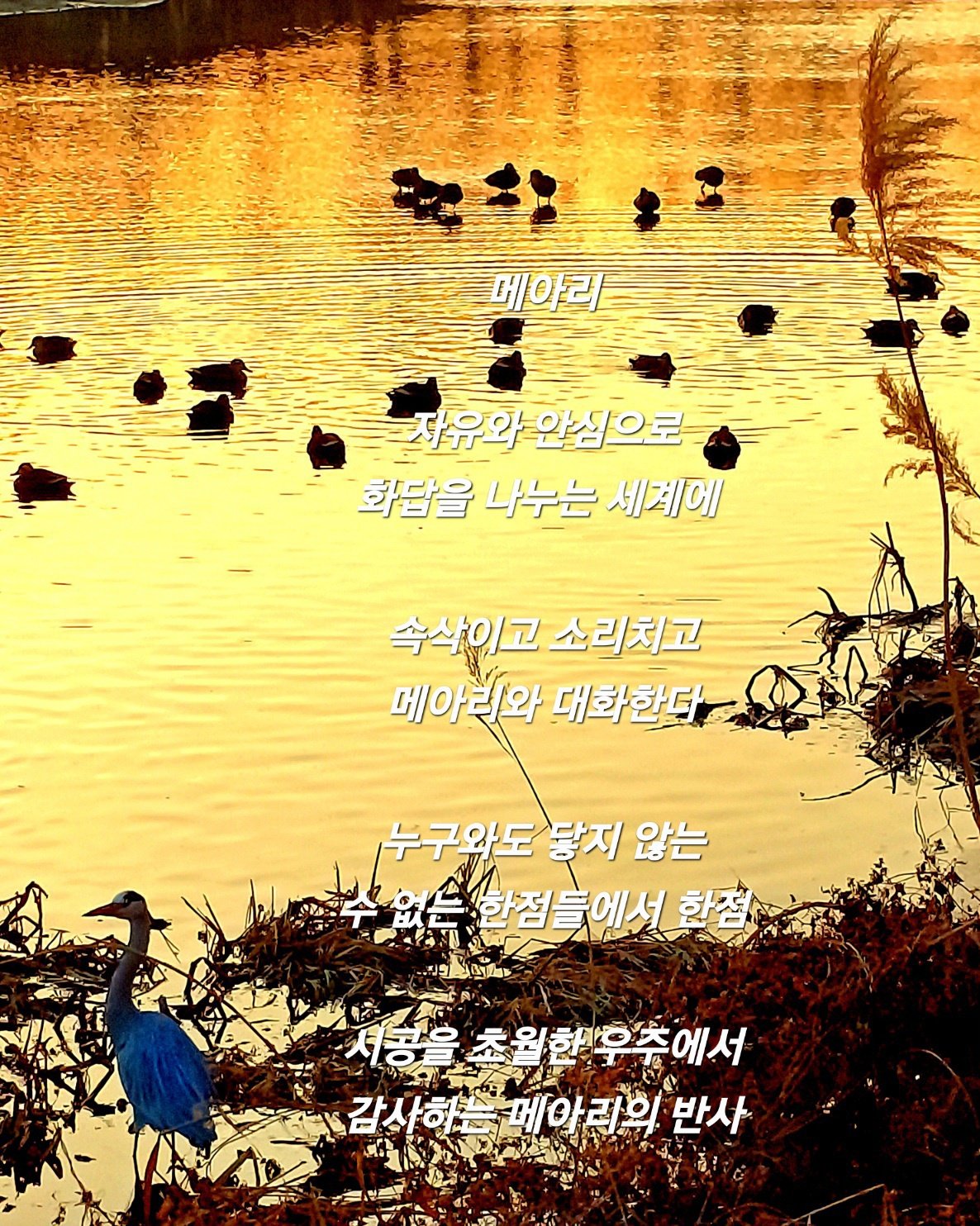 KakaoStory_2025_02_12 10_22_48.jpg