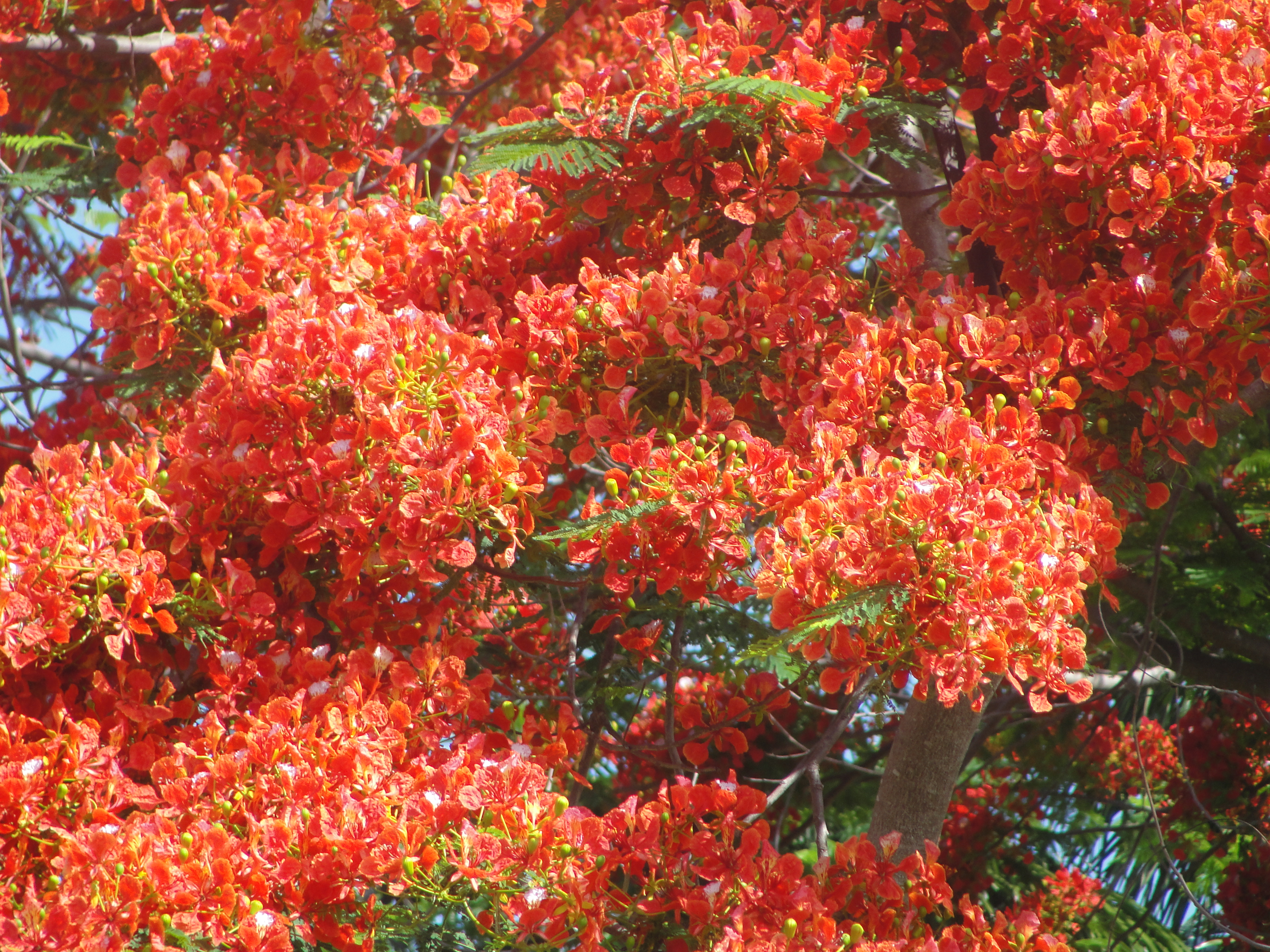 DSC00472.JPG