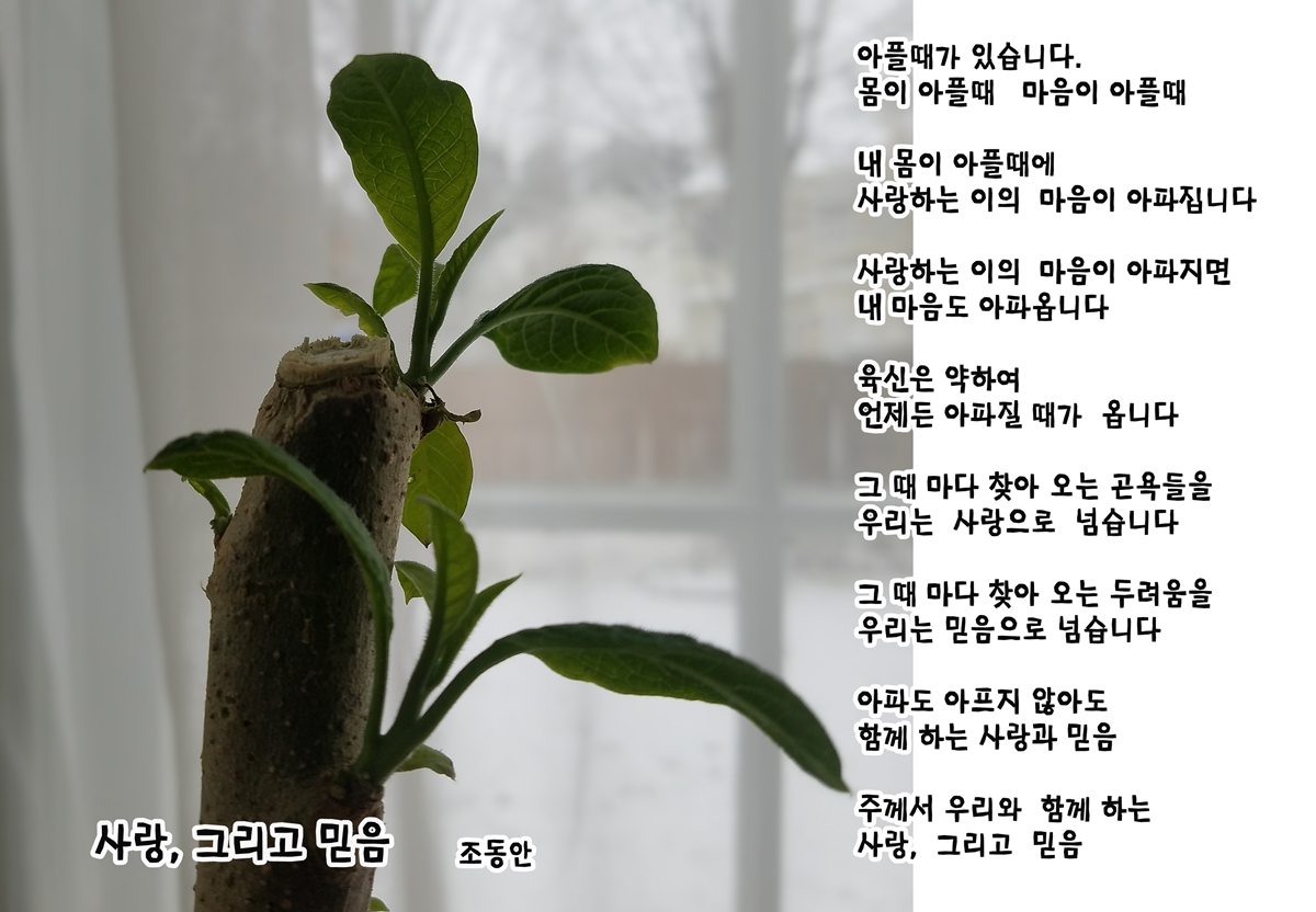 사랑, 그리고 믿음(시집).jpg