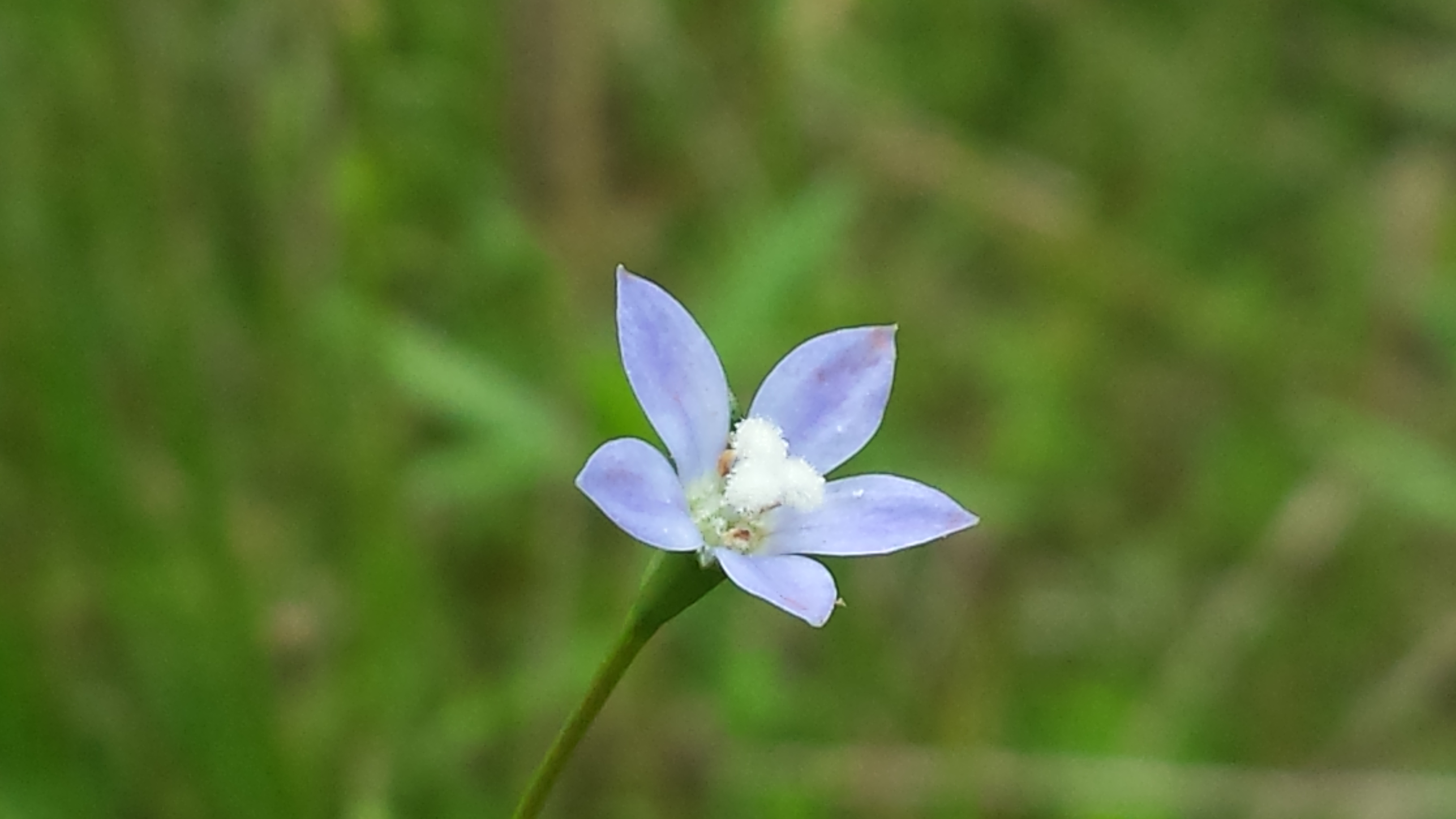 20170710_122336.jpg