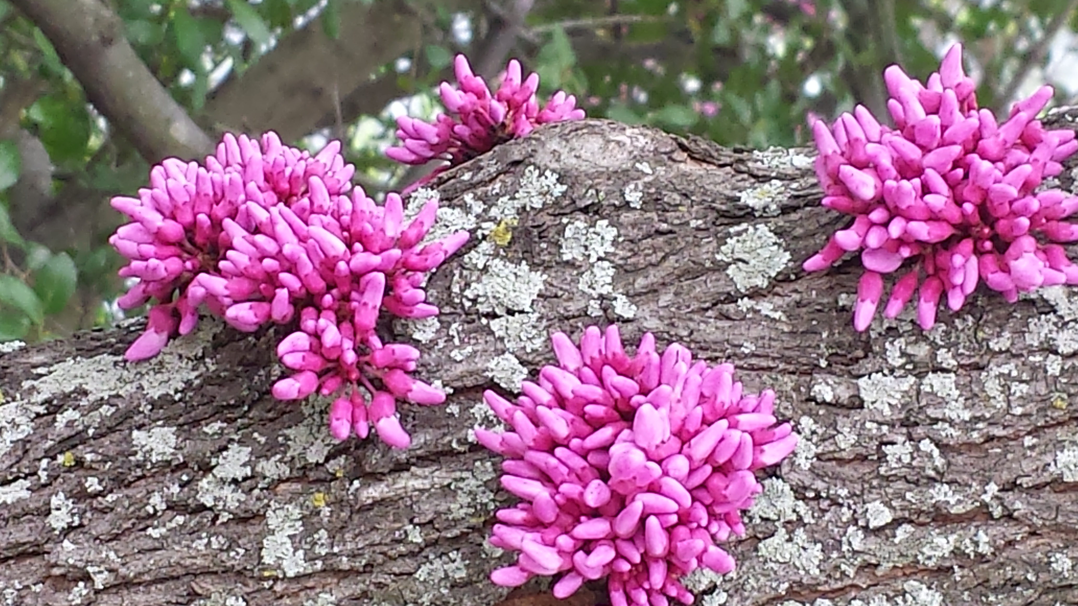 20150326_161302.jpg