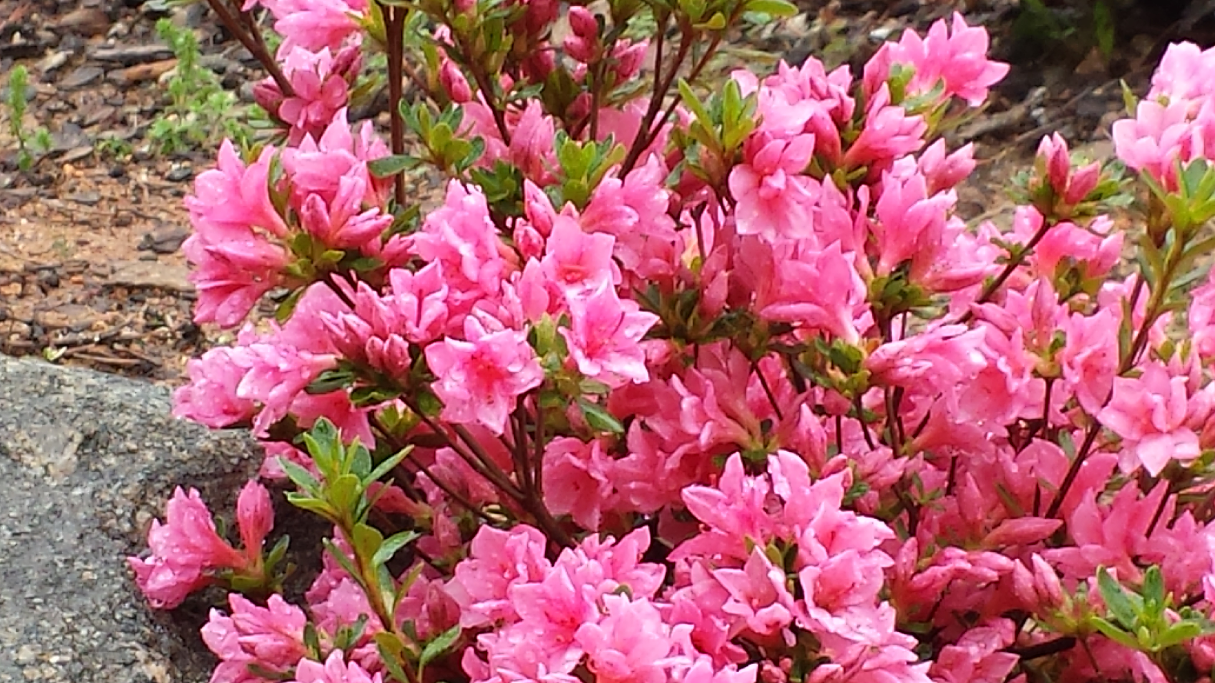 20150407_100441.jpg