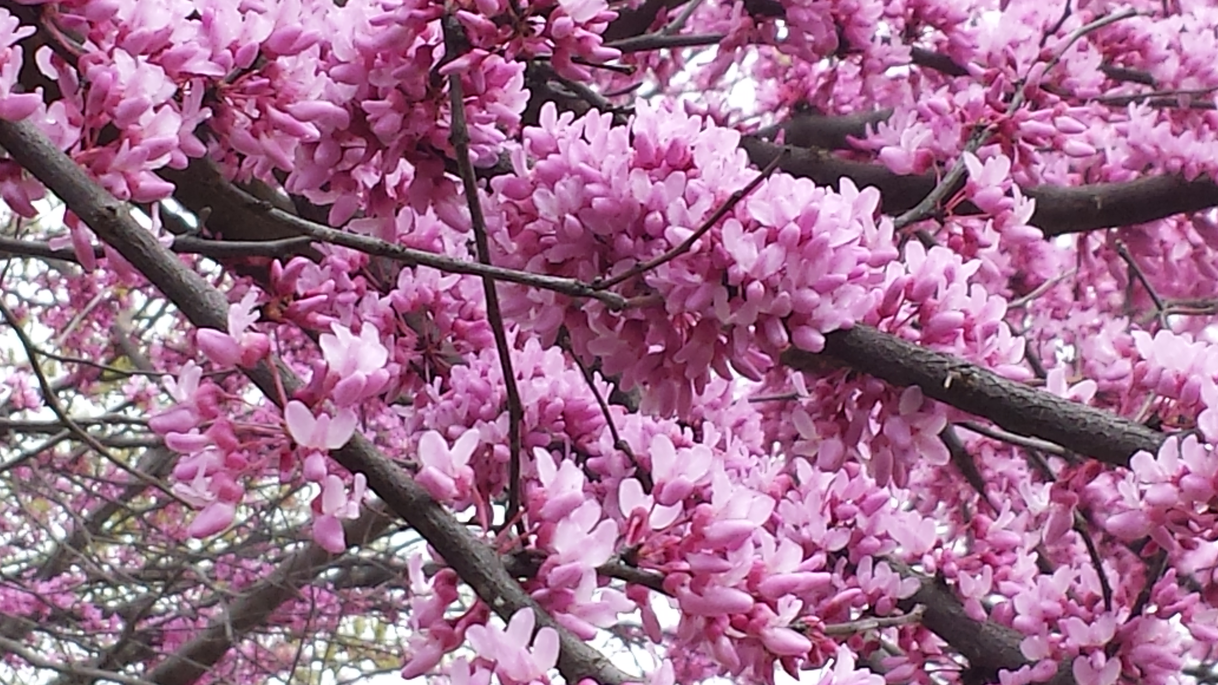 20150327_101919.jpg