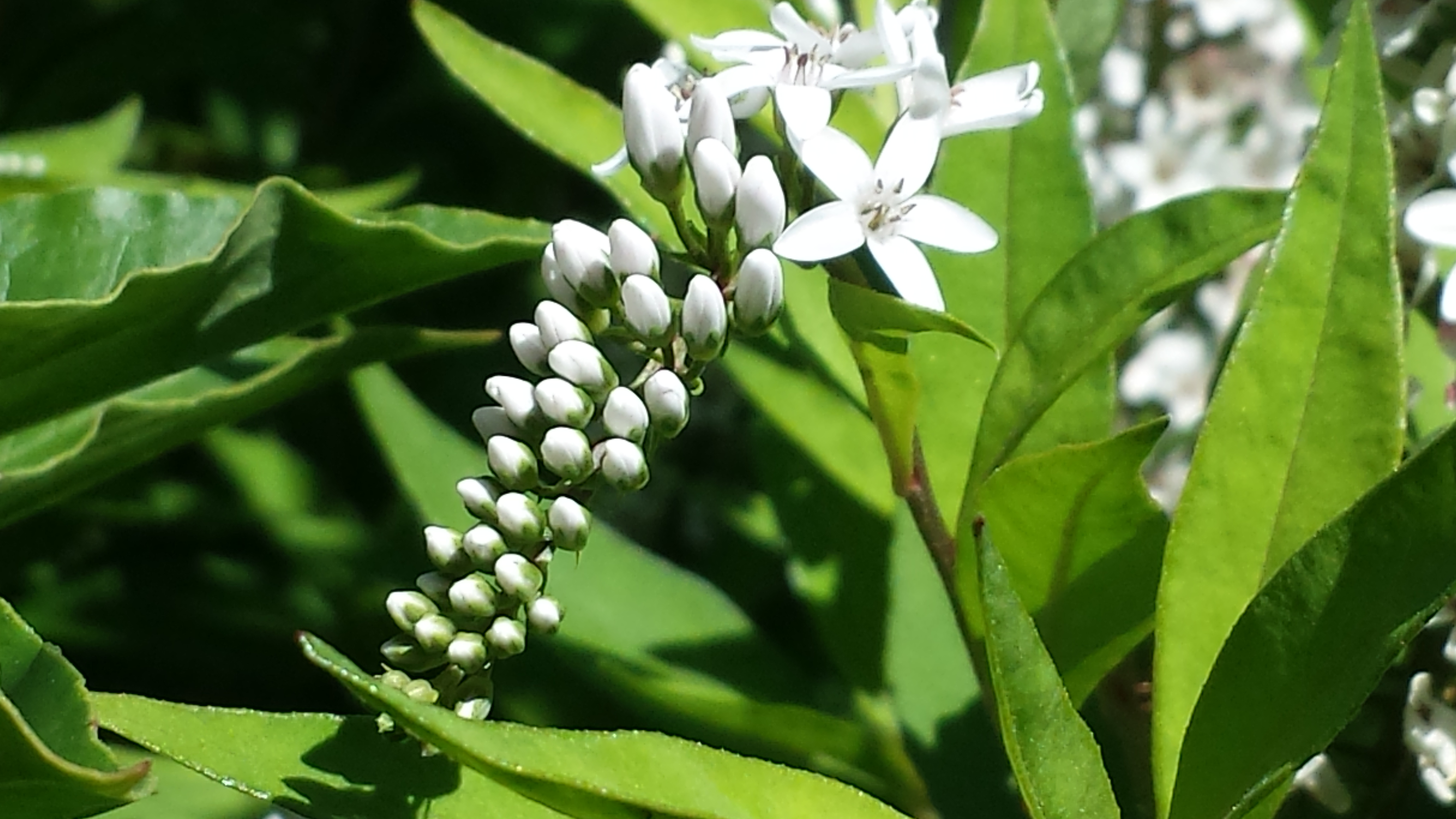 20160714_105708.jpg