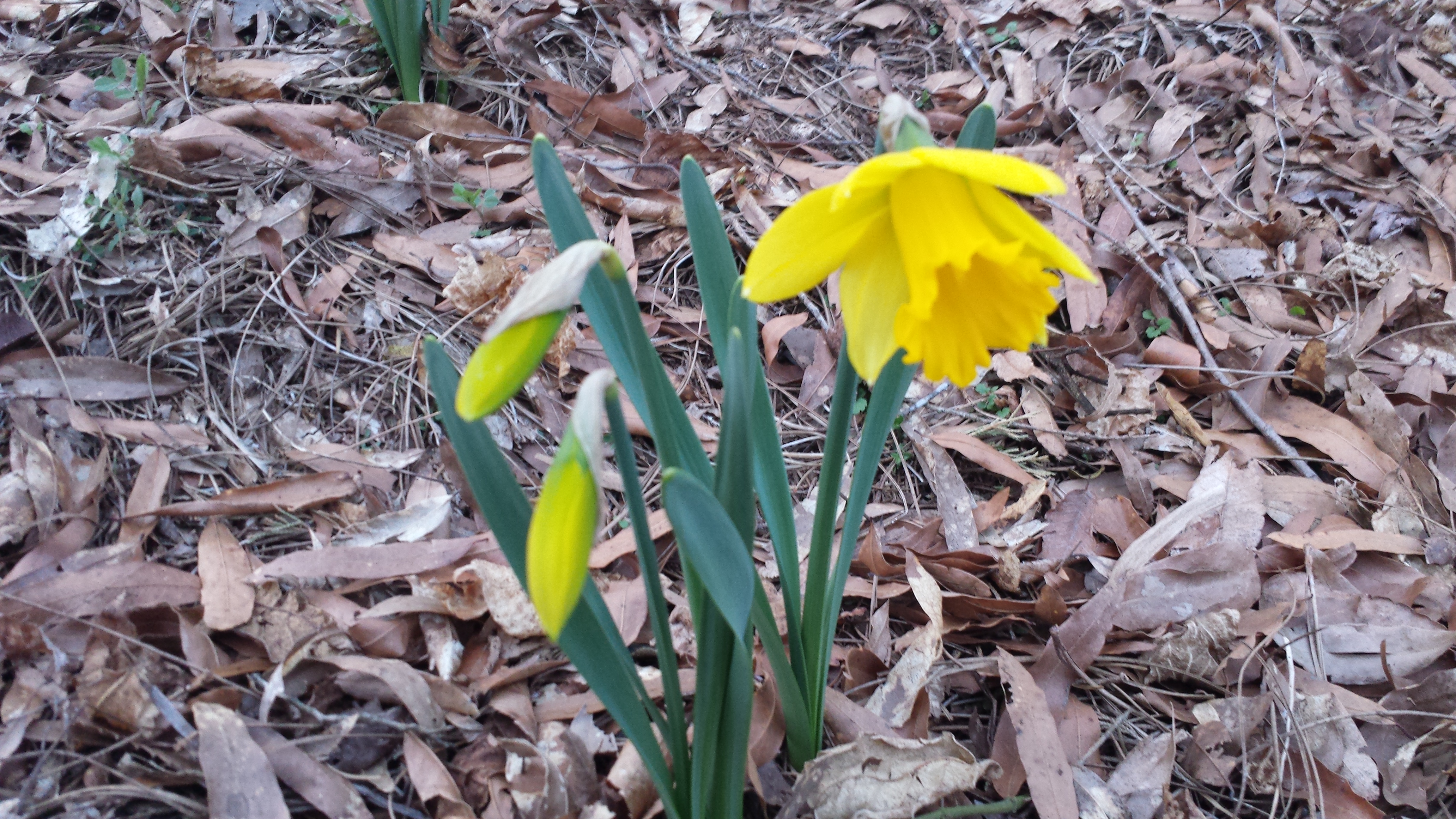 20150203_175730.jpg