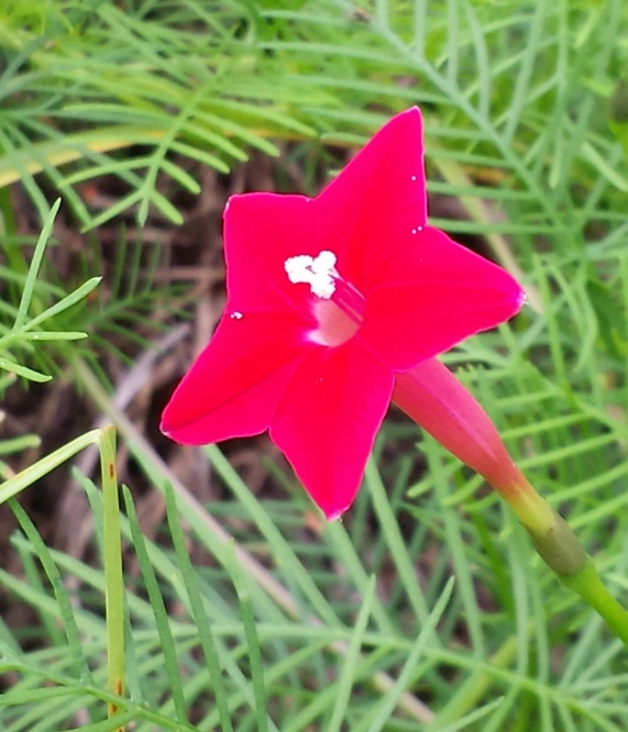 20150924_102920.jpg