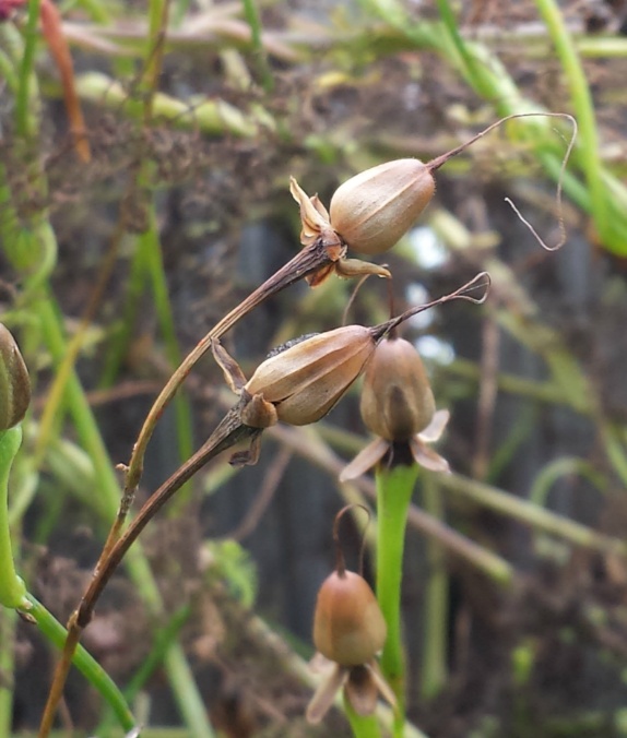 20150924_150315.jpg