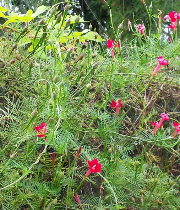 20150924_150506.jpg