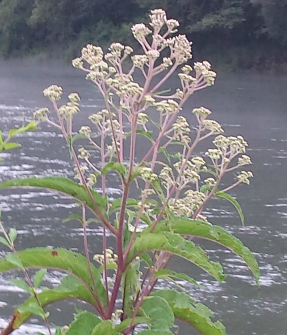 20150806_184128.jpg