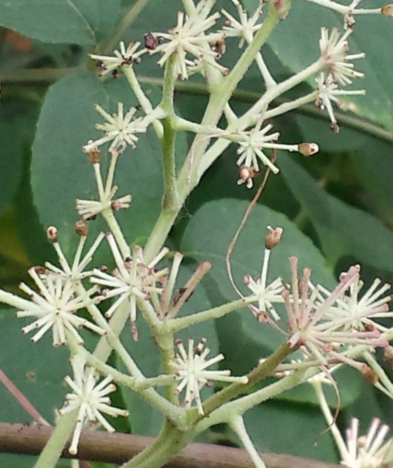 20150806_131320.jpg