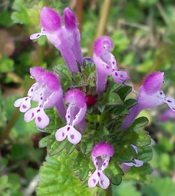 20150317_170948.jpg